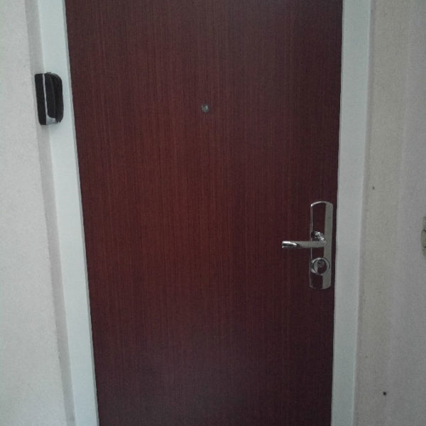 Porte entrée bois Strasbourg